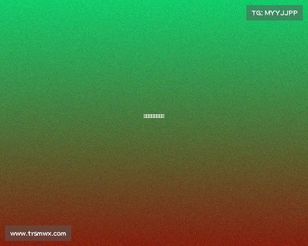 襄阳篮球赛事直播